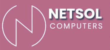 NetSol Logo